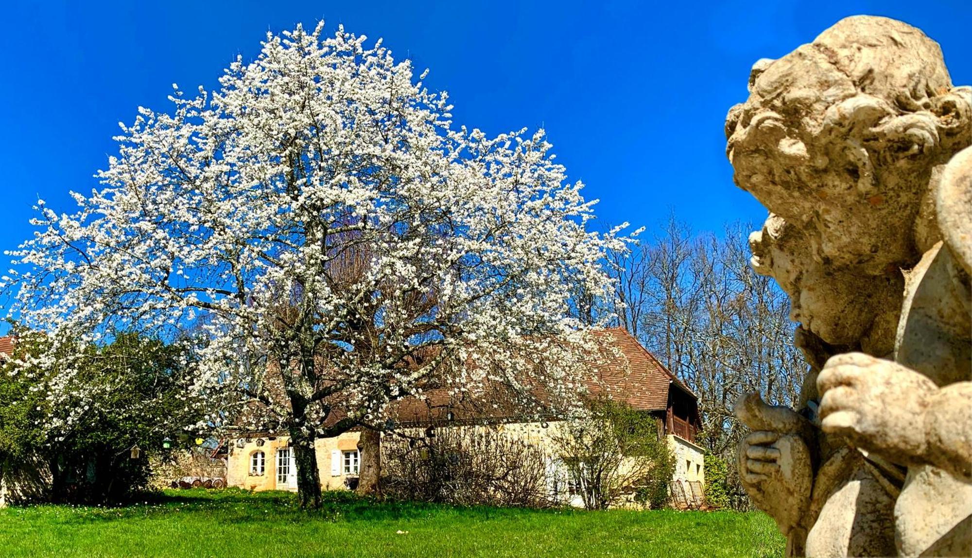 Gîtes Sibémol Simeyrols Exterior foto